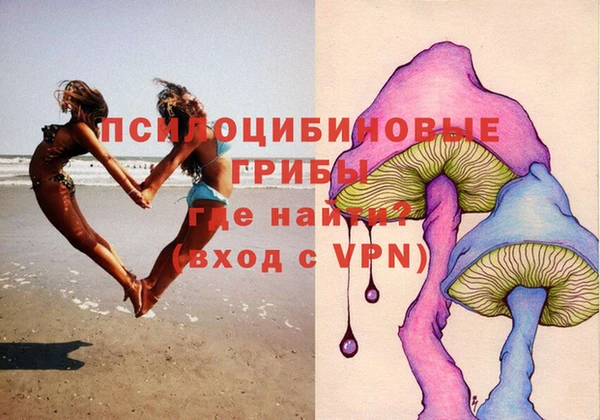 метадон Алексин