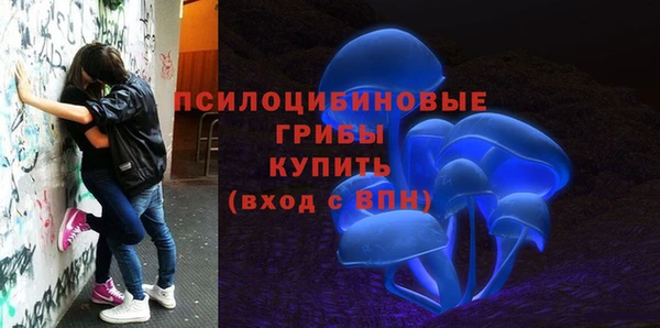 apvp Алексеевка