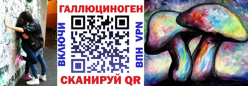 закладка  Ижевск  Псилоцибиновые грибы Cubensis 